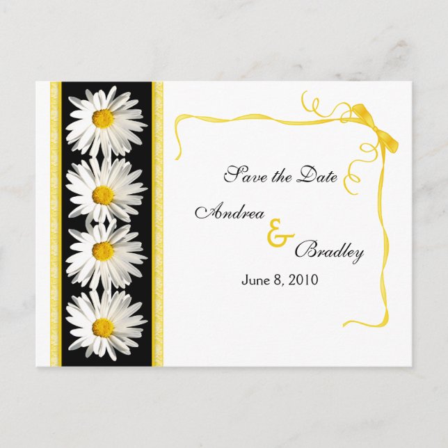 Cartão Postal de Anúncio da Shasta Daisy (Frente)