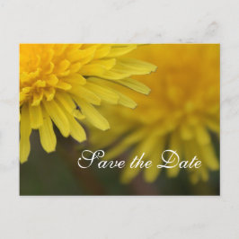 Cartão Postal De Anúncio Dandelion de flor silvestre bonito amarela salvará