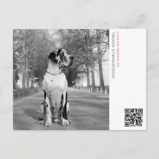 Cartão postal de anúncio de cachorrinho