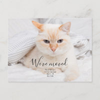 Cartão postal de anúncio de foto personalizado
