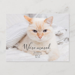 Cartão postal de anúncio de foto personalizado