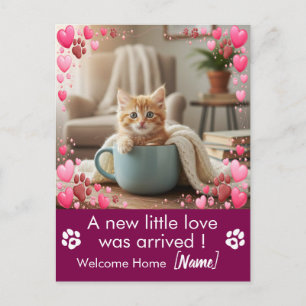 Cartão postal de anúncio de novo gatinho com foto