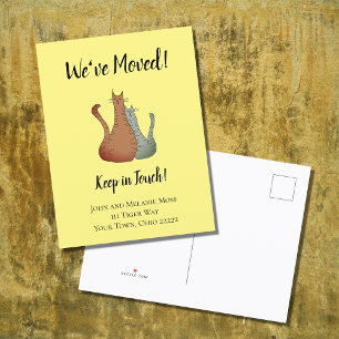 Cartão postal de anúncio de novo lar para gatos de