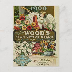 Cartão postal de anúncio de sementes vintage