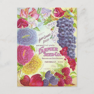 Cartão postal de anúncio de sementes vintage