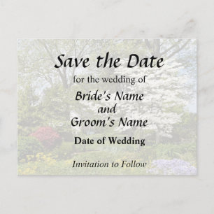 Cartão Postal De Anúncio Dogwood in Bloom