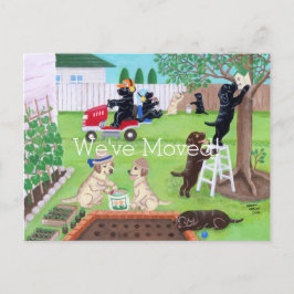 Cartão Postal De Anúncio Domingo, Diversão Labradores, pintando novo endere