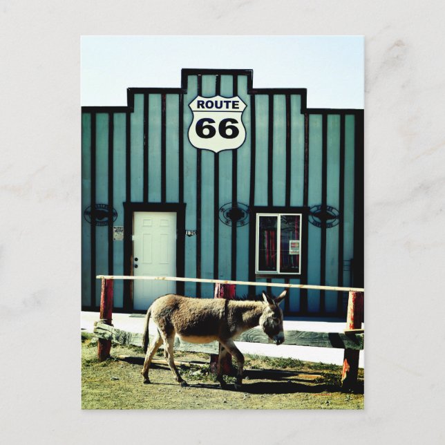 Cartão Postal De Anúncio Donkey Town Oatman Arizona (Frente)