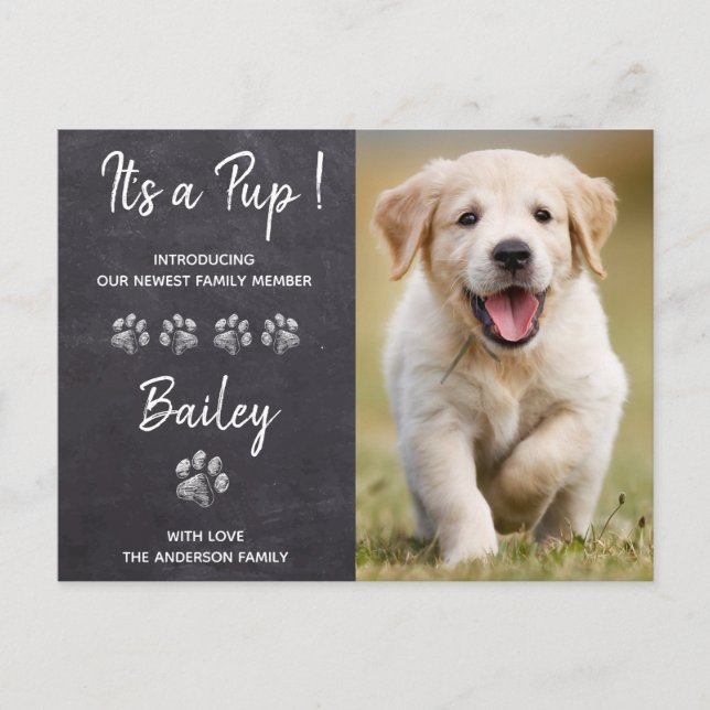 Cartão Postal De Anúncio É um Pup Novo Pet Puppy Dog (Frente)