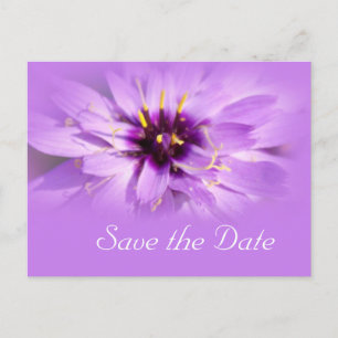 Cartão Postal De Anúncio Elegante, bela flor de margarida roxa salve a data