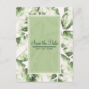 Cartão Postal De Anúncio Elegante Branco Folhas Tropicais Verdes Salve a Da