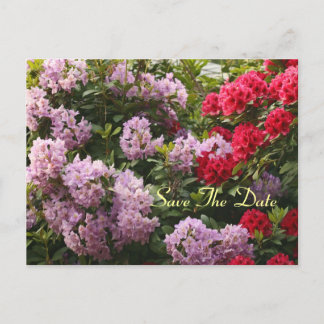 Cartão Postal De Anúncio Elegante Rhododendron Salve O Cartão-Postal Do Dia
