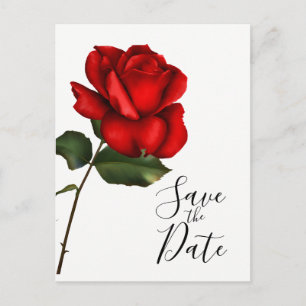 Cartão Postal De Anúncio Elegante Rosa Vermelha de Haste Longa para Casamen
