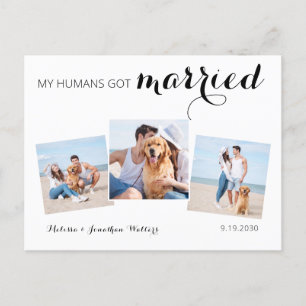 Cartão Postal De Anúncio Elopemento de Casamento de Cães com Colagem de Fo