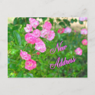 Cartão Postal De Anúncio Endereço novo