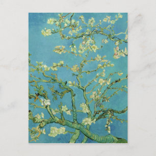 Cartão Postal De Anúncio Endereço novo da flor   da amêndoa de Van Gogh  
