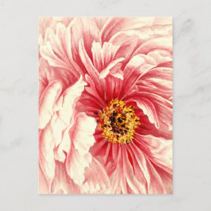Cartão Postal De Anúncio Endereço novo da ilustração botânica da peônia do