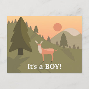 Cartão Postal De Anúncio Engraçado "Quão Velho" Whitetail Buck Baby