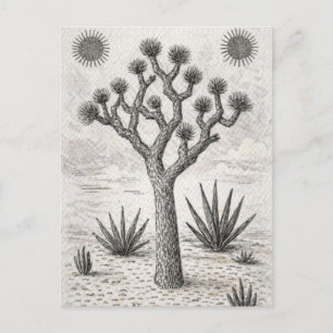 Cartão Postal De Anúncio esboço da árvore de joshua arte de esboço do des
