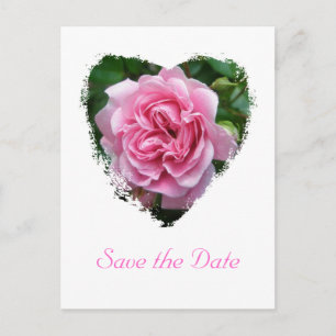 Cartão Postal De Anúncio Escalar aumentou artigos de coordenação