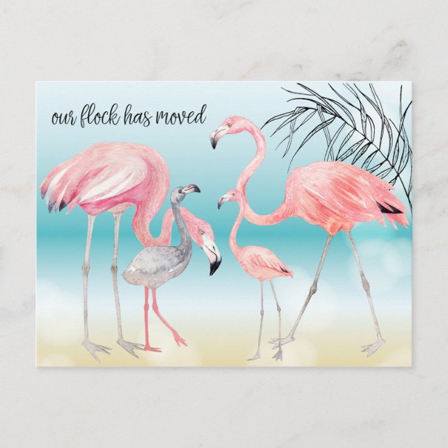 Cartão Postal De Anúncio Família de Flamingo Rosa na Praia Bokeh Novo Ender (Frente)