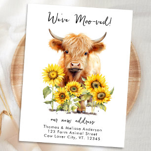 Cartão Postal De Anúncio Fazenda de Girassóis da Vaca das Terras Altas Nova