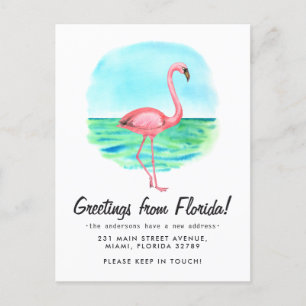 Cartão Postal De Anúncio Flamingo Tropical Mudou Nova Endereço Flórida Muda
