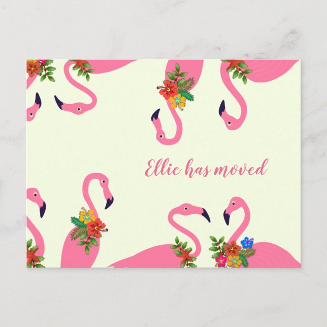 Cartão Postal De Anúncio Flamingos Divertidos Novo Endereço (Frente)