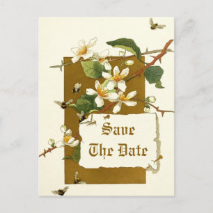 Cartão Postal De Anúncio Flores brancas do vintage que wedding economias a