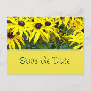 Cartão Postal De Anúncio flores de margarida amarelo brilhante de verão sal