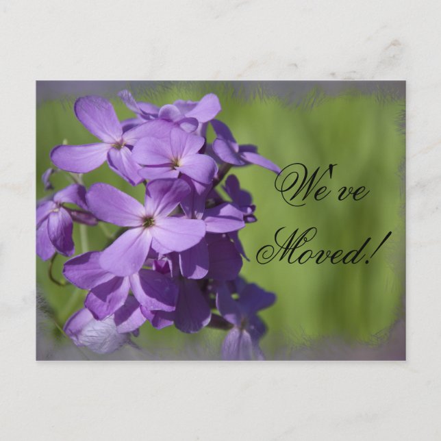 Cartão Postal De Anúncio Flores Roxas Mudança de Endereço (Frente)