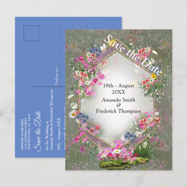 Cartão Postal De Anúncio Flores Silvestres de Cosmos (Frente/Verso)