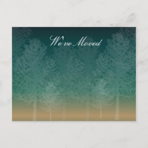 Cartão Postal De Anúncio Floresta Noturna Mudamos