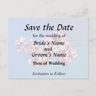 Cartão Postal De Anúncio Flowering Cherry Branch in Sunshine