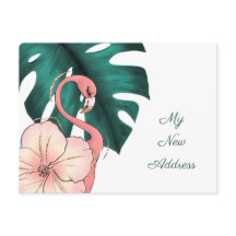 Folha de Flamingo Monstera, rosa, movendo-se para 