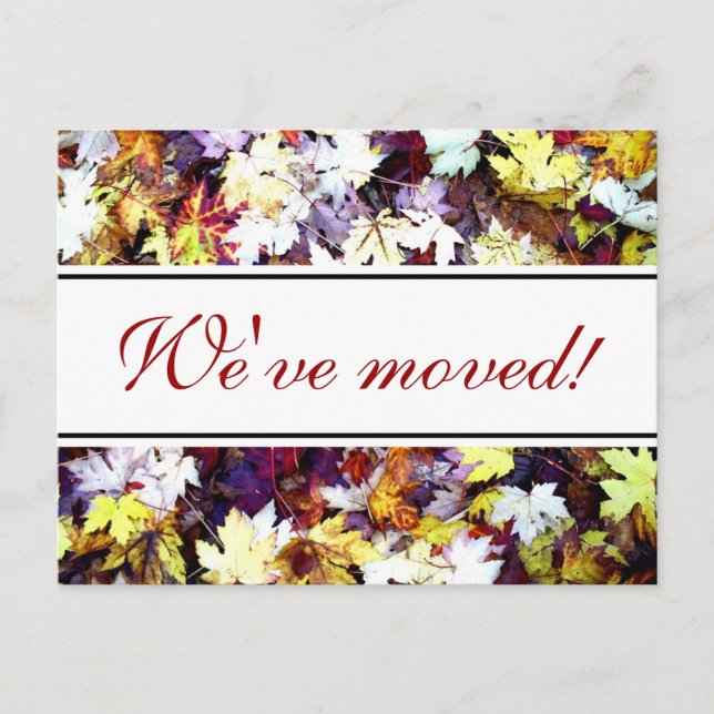 Cartão Postal De Anúncio Folhas de outono cartões-postais animados | Cena d (Frente)