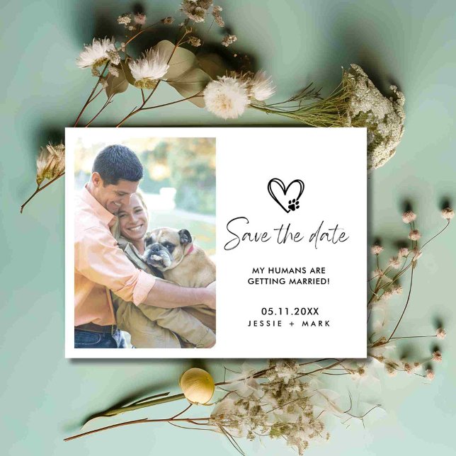 Cartão Postal De Anúncio Foto Engraçada de Cachorro para Salvar a Data do C (Funny Dog Photo Wedding Save the Date)