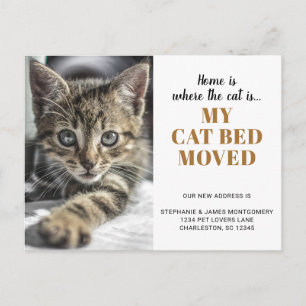 Cartão Postal De Anúncio Foto Engraçada de Gato Personalizada para Pet que 