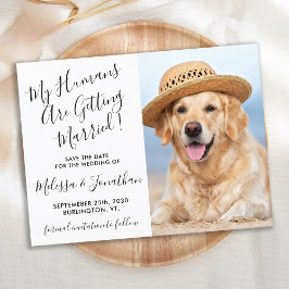 Cartão Postal De Anúncio Foto Moderna Personalizar Casamento De Cachorro Sa