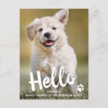 Foto Personalizada Olá Novo Cachorrinho Pet Dog