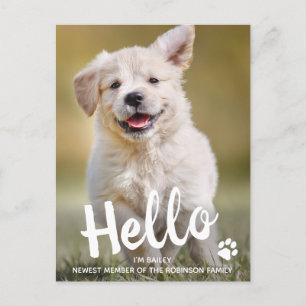 Cartão Postal De Anúncio Foto Personalizada Olá Novo Cachorrinho Pet Dog