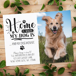 Cartão Postal De Anúncio Foto Pet Personalizada Weve Movimentada Novo Cão d