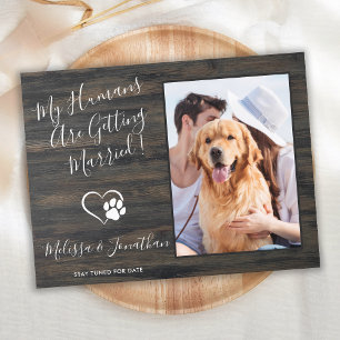 Cartão Postal De Anúncio Fotografia Rústica de Animais de Estimação Simples