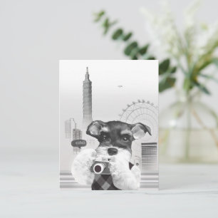 Cartão Postal De Anúncio Fotógrafo Urbano: Schnauzer na Cidade de Taipé