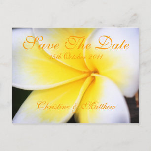 Cartão Postal De Anúncio Frangipani - Salvar a Data