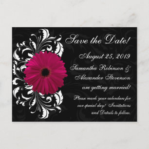 Cartão Postal De Anúncio Fuchsia Scroll Gerbera Daisy Black Salvar Data