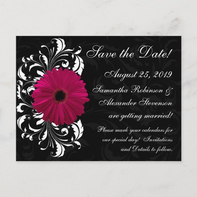 Cartão Postal De Anúncio Fuchsia Scroll Gerbera Daisy Black Salvar Data (Frente)