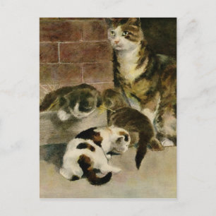 Cartão Postal De Anúncio Gata-Mãe e Gatinhos Vintage