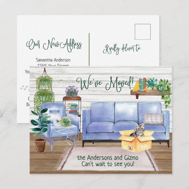 Cartão Postal De Anúncio Gato de Cabelo Curto Americano Cozy Novo Movimento (Frente/Verso)