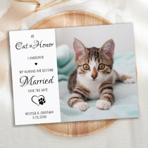 Cartão Postal De Anúncio Gato de Honra Pet Casamento Foto Salve a Data